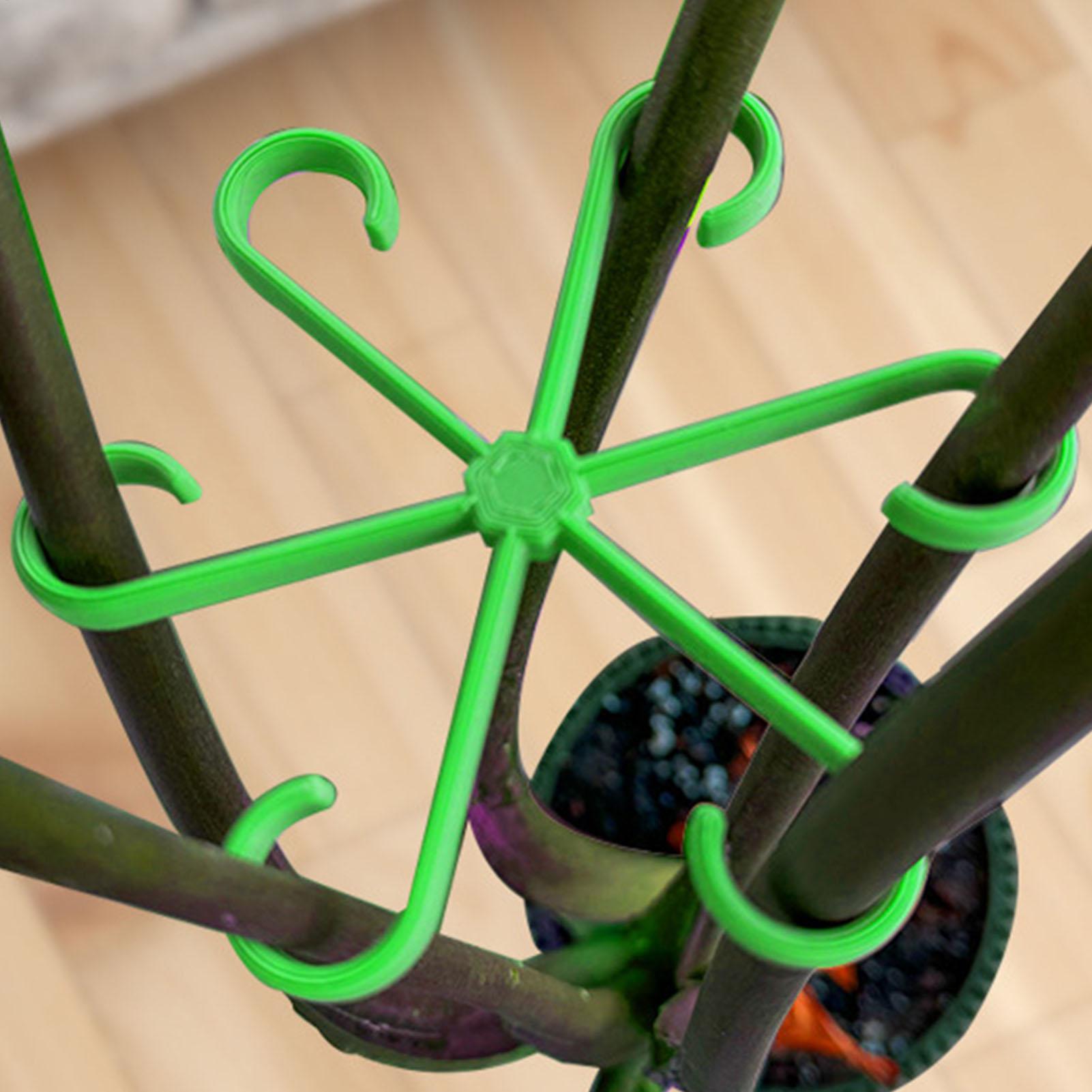 Variegated Monstera Node - 4Pcs Plants Stem Support Clips Climbing