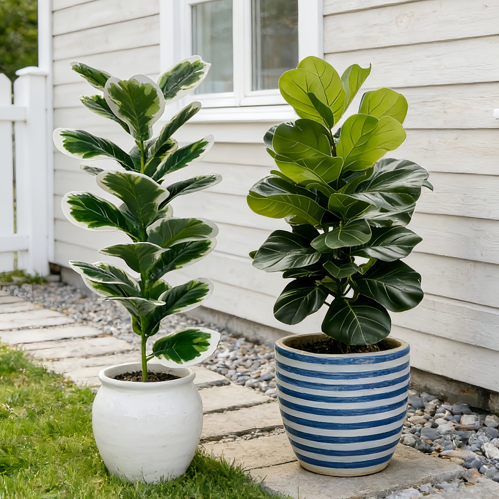 Fiddle Leaf Fig - Outdoor Artificial Banyan Trees Realistic Faux