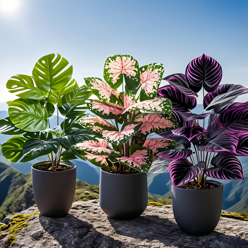 Fiddle Leaf Fig - 3Pcs Mixed Artificial Plant Set Large