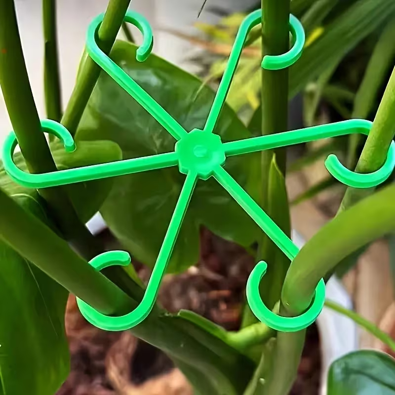 8-Piece Plant Stem Support Set - Variegated Monstera Node ulasan dan harga