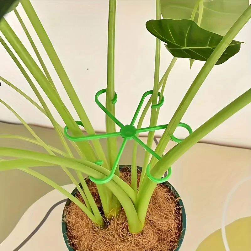 8-Piece Plant Stem Support Set - Variegated Monstera Node ulasan dan harga
