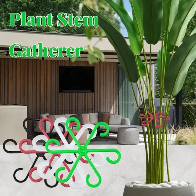 4pcs Climbing Plants Support C - Variegated Monstera Node ulasan dan harga