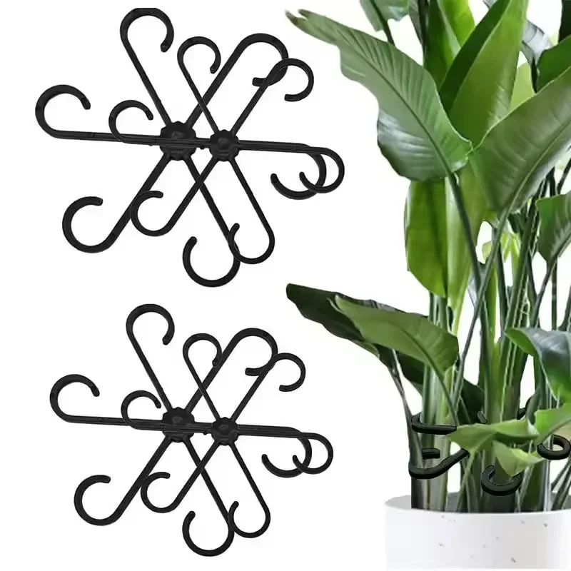 Stem Support Alocasia Monstera - Variegated Monstera Node ulasan dan harga