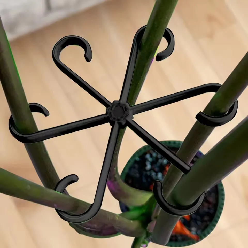 Stem Support Alocasia Monstera - Variegated Monstera Node ulasan dan harga