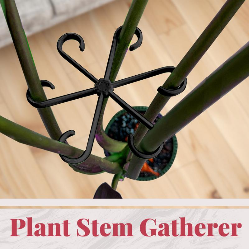 4pcs Climbing Plants Support C - Variegated Monstera Node ulasan dan harga