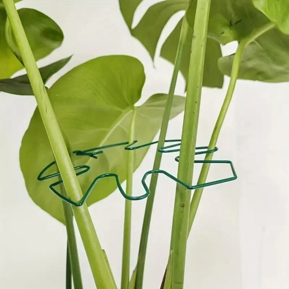 1Pc Large Plant Stand Indoor P - Variegated Monstera Node ulasan dan harga