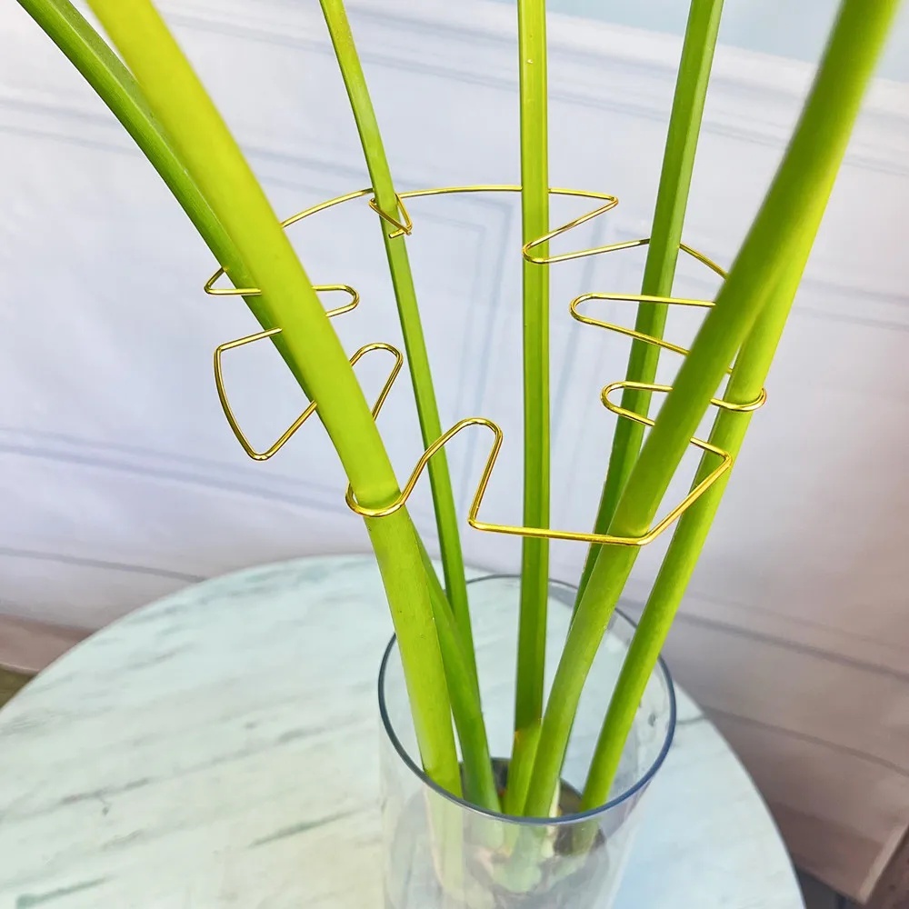 1Pc Large Plant Stand Indoor P - Variegated Monstera Node ulasan dan harga