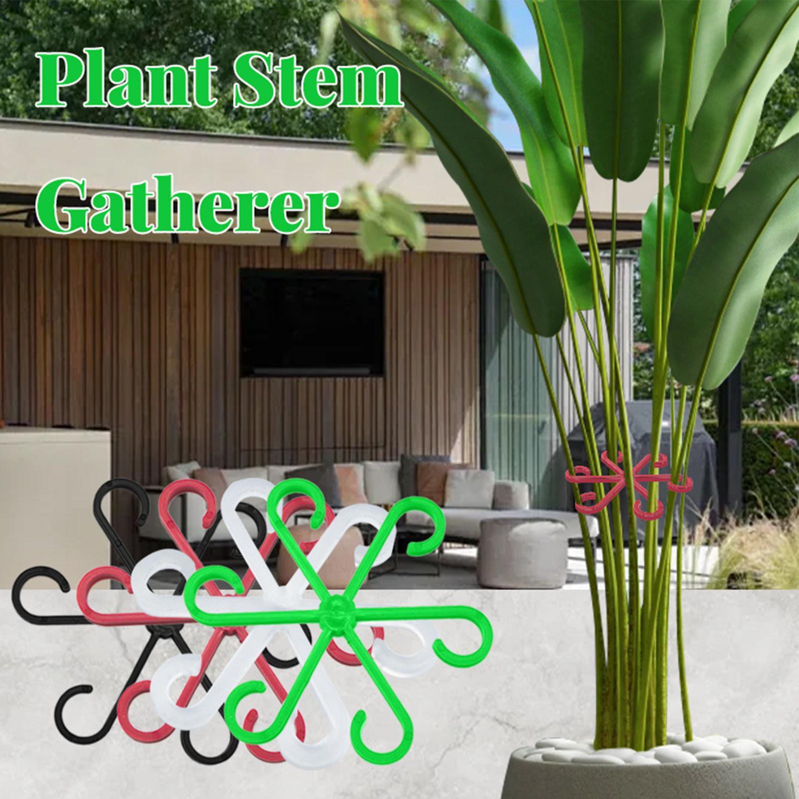 4Pcs Plants Stem Support Clips - Variegated Monstera Node ulasan dan harga